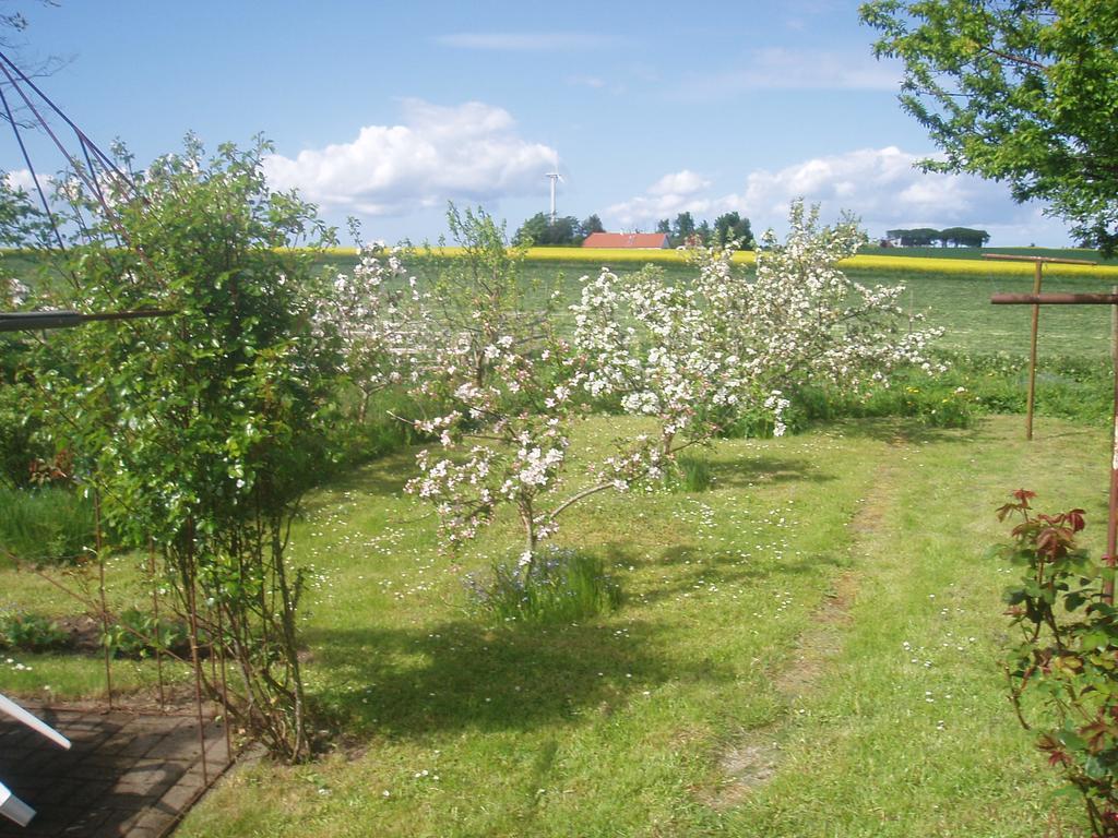 Country House Karby 外观 照片